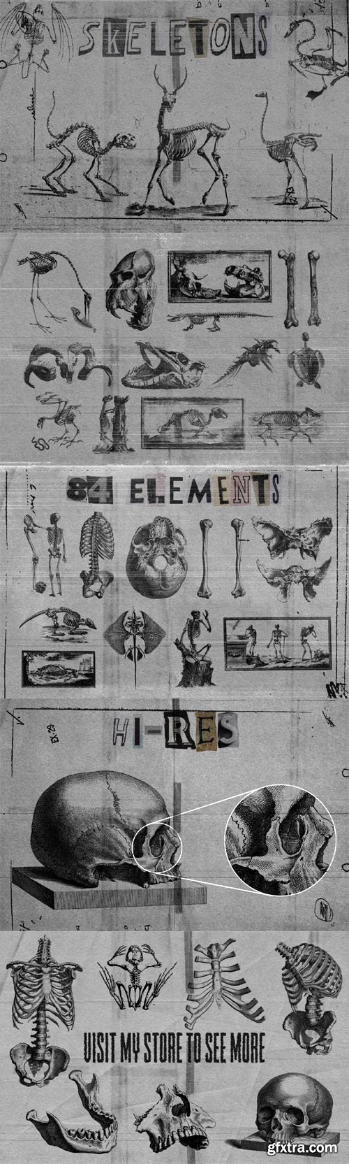 Skeletons - 80+ PNG Elements