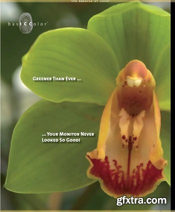 basICColor display 6.0.5 Build 2705