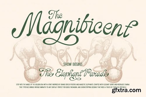 CreativeMarket - Nufaria Script Font