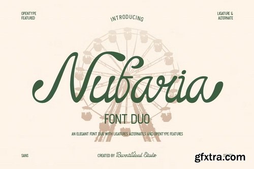 CreativeMarket - Nufaria Script Font