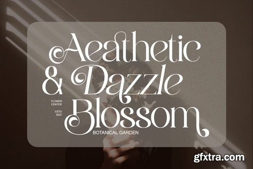 CreativeMarket - Bolqito Elegant Luxury Serif Font