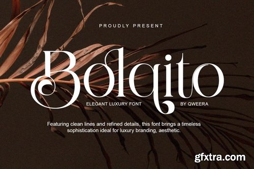 CreativeMarket - Bolqito Elegant Luxury Serif Font