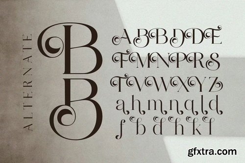 CreativeMarket - Bolqito Elegant Luxury Serif Font