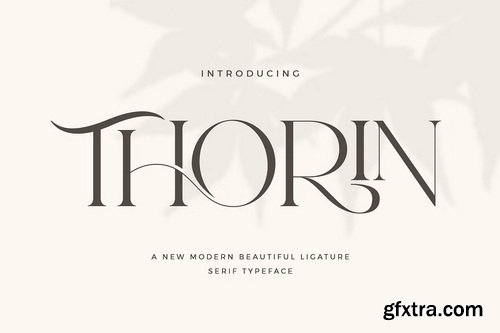 CreativeMarket - Thorin Beautiful Serif Font