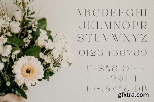 CreativeMarket - Thorin Beautiful Serif Font