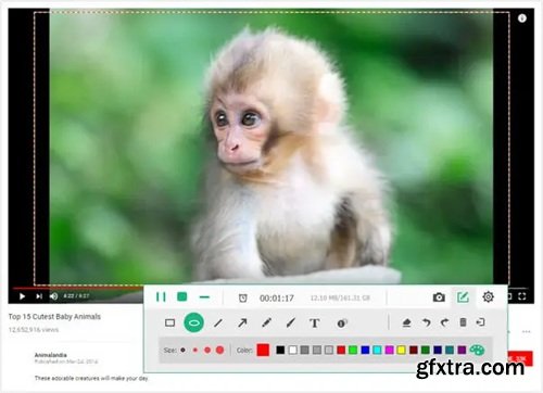 Apeaksoft Screen Recorder 2.3.50