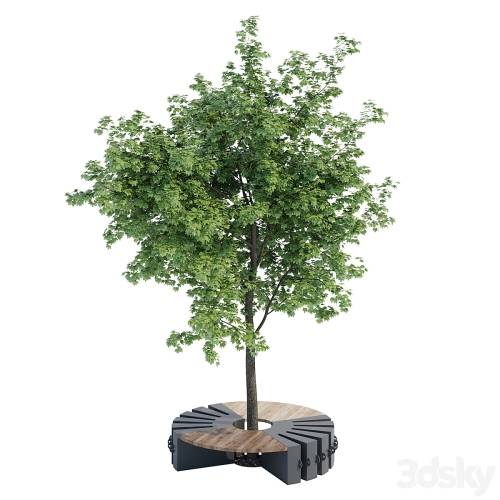 '3dsky Pro - Round B' '3dsky Pro - Round B'