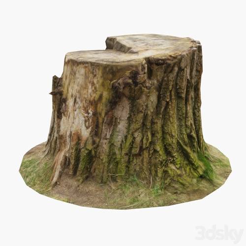 '3dsky Pro - Stump' '3dsky Pro - Stump'