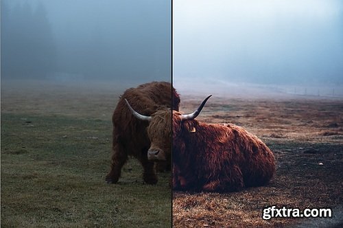 Kopernikk - Kopernikk Visuals Presets#01