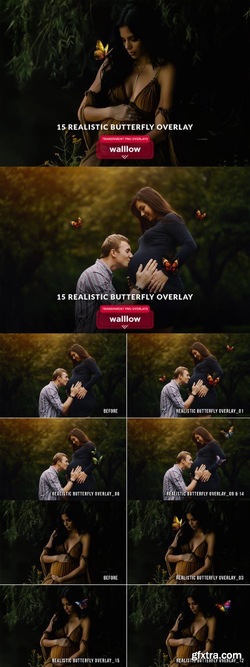 Creativemarket - Butterfly png transparent overlays