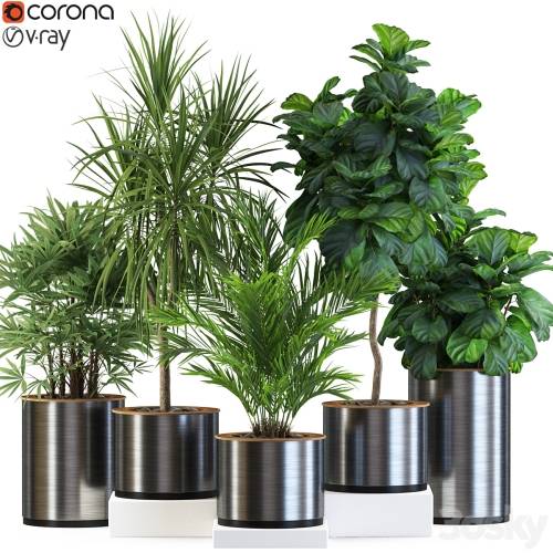 '3dsky Pro - Plants collection 550' '3dsky Pro - Plants collection 550'