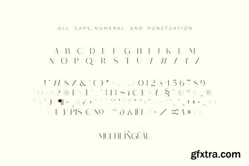 CreativeMarket - Monic Modern Ligature Font