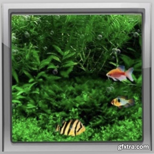 Analog Princess Ambient Stash Analog Princess Ambient Stash