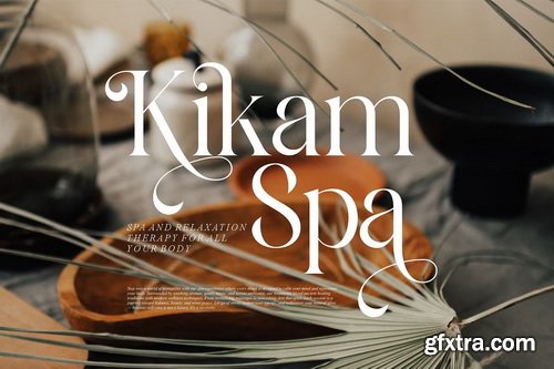 CreativeMarket - Alfines Modern Classy Serif Font