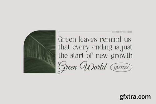 CreativeMarket - Alfines Modern Classy Serif Font