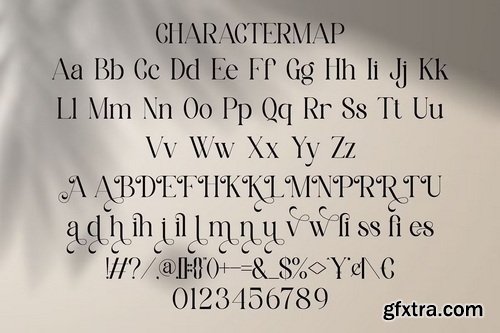 CreativeMarket - Alfines Modern Classy Serif Font