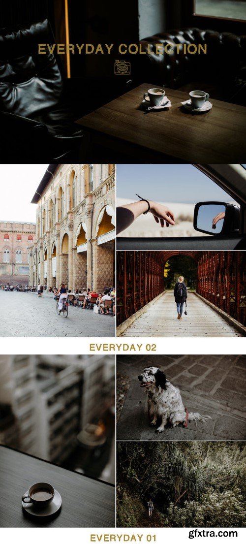 Vivid Presets - Everyday Prresets Collection