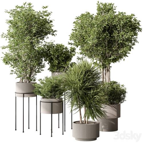 '3dsky Pro - Indoor Plant 532 -Tree in Pot' '3dsky Pro - Indoor Plant 532 -Tree in Pot'
