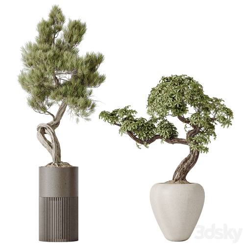'3dsky Pro - Indoor plant set 23' '3dsky Pro - Indoor plant set 23'