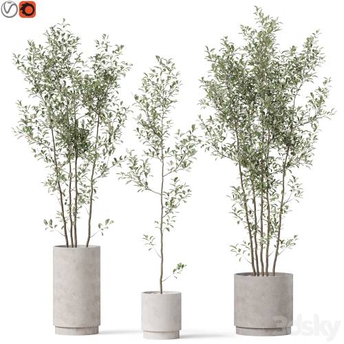 '3dsky Pro - Plants collection 901' '3dsky Pro - Plants collection 901'