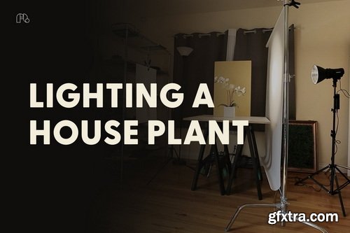 FigandLight - Full Behind The Scenes Shoots