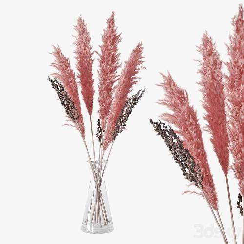 '3dsky Pro - Pampas grass 04' '3dsky Pro - Pampas grass 04'