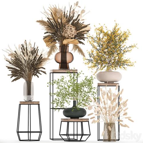 '3dsky Pro - A set of bouquets of dried flowers in vases for decoration on shelves, branches, pampas grass. 216.' '3dsky Pro - A set of bouquets of dried flowers in vases for decoration on shelves, branches, pampas grass. 216.'