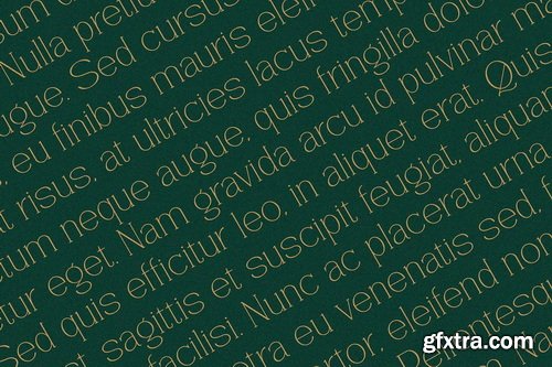 CreativeMarket - Vantique Serif Font
