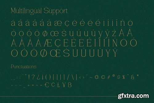 CreativeMarket - Vantique Serif Font