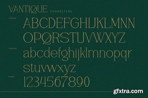 CreativeMarket - Vantique Serif Font