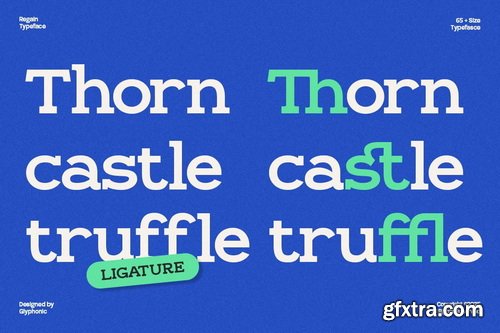 CreativeMarket - GC Regain Display Bold Slab Serif