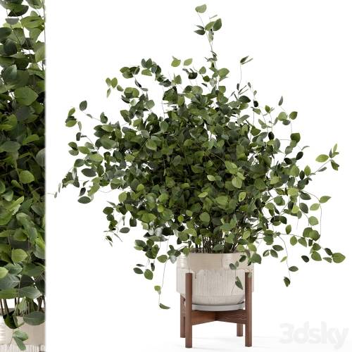 '3dsky Pro - Indoor Plants in rusty Concrete Pot - Set 280' '3dsky Pro - Indoor Plants in rusty Concrete Pot - Set 280'