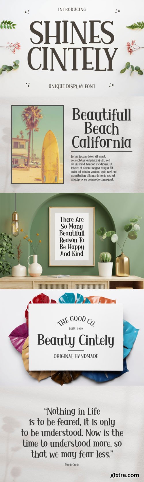 Shines Cintely - Unique Display Font Shines Cintely - Unique Display Font