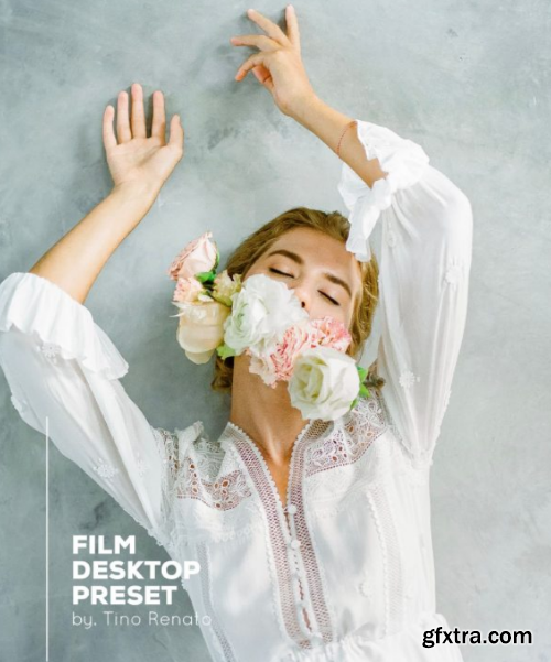 Tino Renato - FILM Desktop Preset