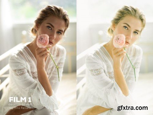 Tino Renato - FILM Desktop Preset