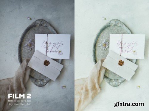 Tino Renato - FILM Desktop Preset