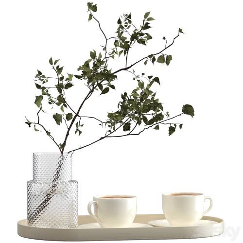 '3dsky Pro - Two cups of cappuccino on a tray' '3dsky Pro - Two cups of cappuccino on a tray'