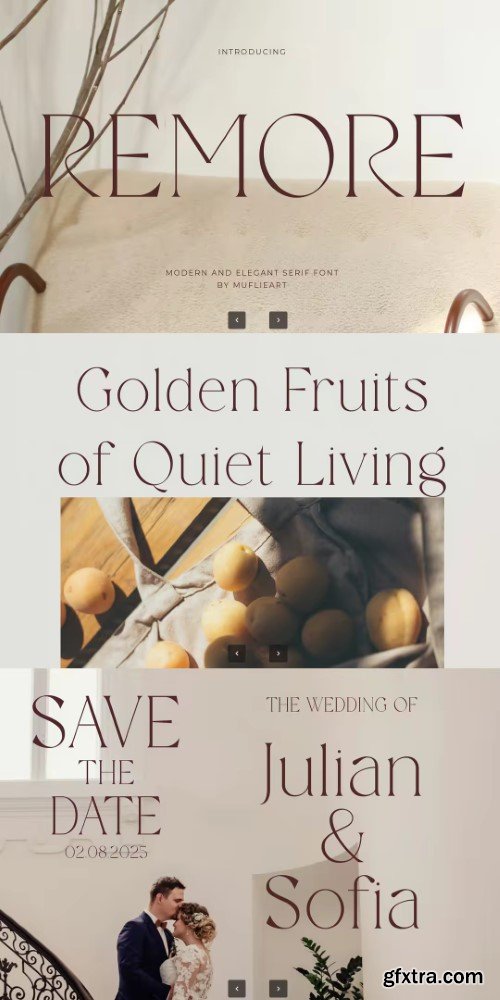 Remore | Modern And Elegant Serif