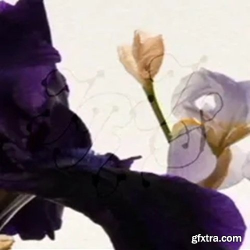 Octodog Iris Drumkit