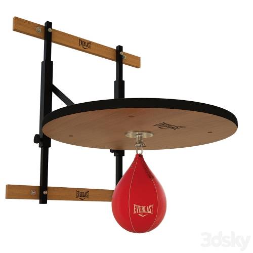 '3dsky Pro - Punching bag and fasteners Everlast'