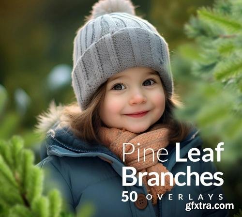 Pine Branches Christmas transparent PNG Overlays