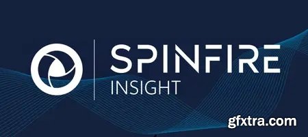 SpinFire Insight 2025.2.0