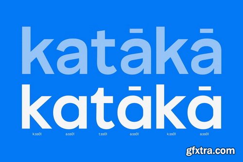 CreativeMarket - True Arabic - Coorporate Clean Sans