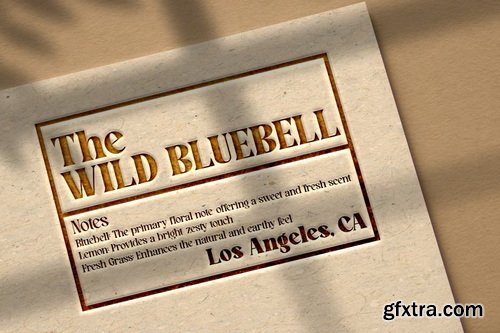 CreativeMarket - Molcer Modern Serif Font