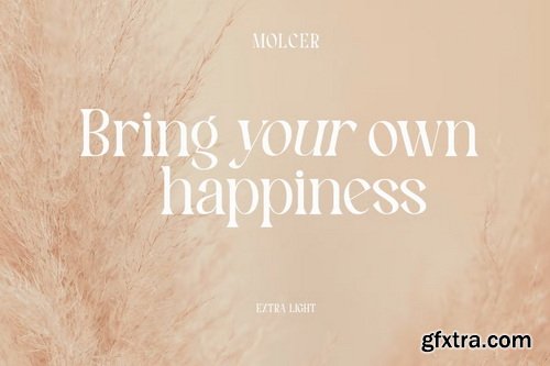 CreativeMarket - Molcer Modern Serif Font