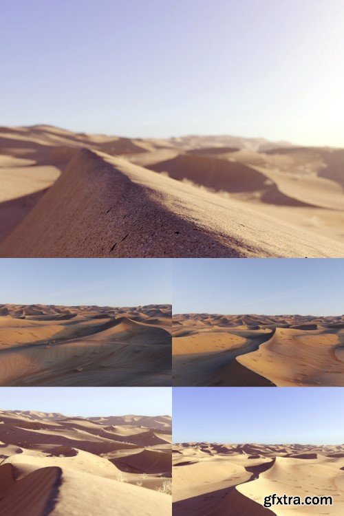 Nouvelle Mesure Lab - Lawrence Desert Pack