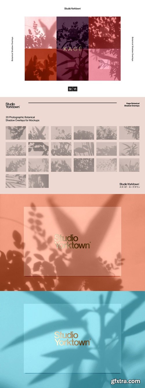 CreativeMarket - Kage - Botanical Shadow Overlays 3790661