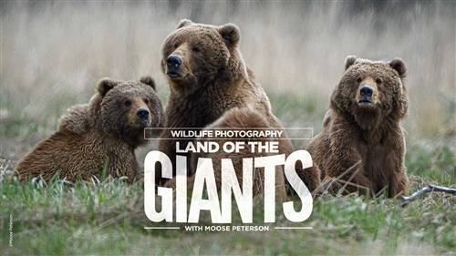 'KelbyOne - Wildlife Photography: Land of the Giants' 'KelbyOne - Wildlife Photography: Land of the Giants'