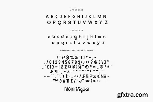 CreativeMarket - Polea Modern Logo Font