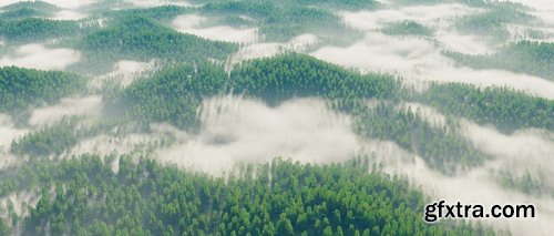 Artstation - Rui Huang - Welcome Home